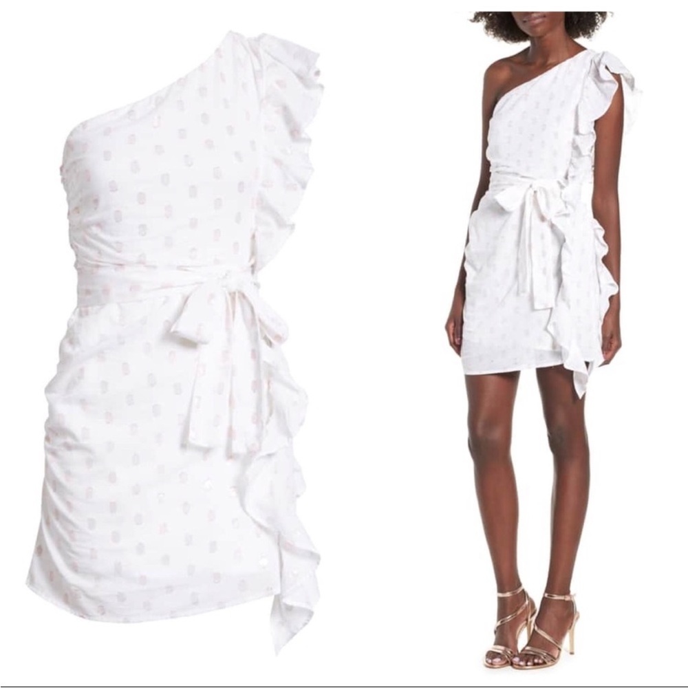 “LOVERS + FRIENDS” X Revolve Whitney Rose Dress - Picture 5 of 16